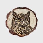 ديكور منزلي خشبي من ستار زون - the Owl